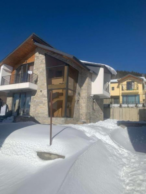 Cozy cottage in Bakuriani